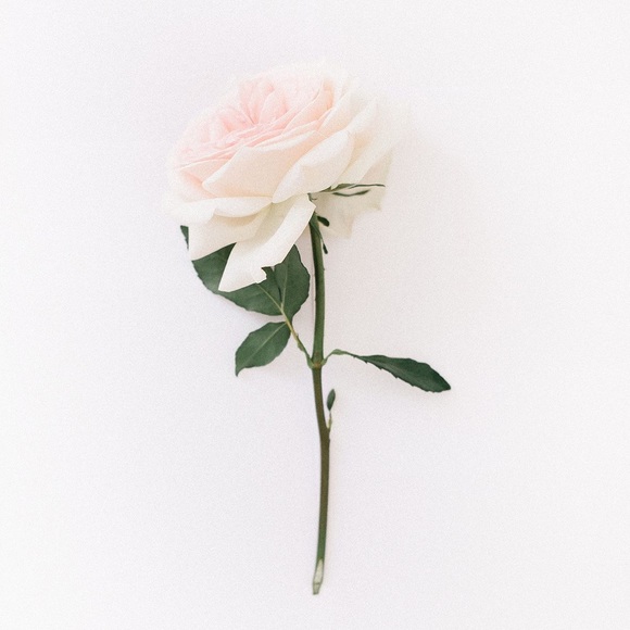 Meet your Posher, D - Picture 1 of 1